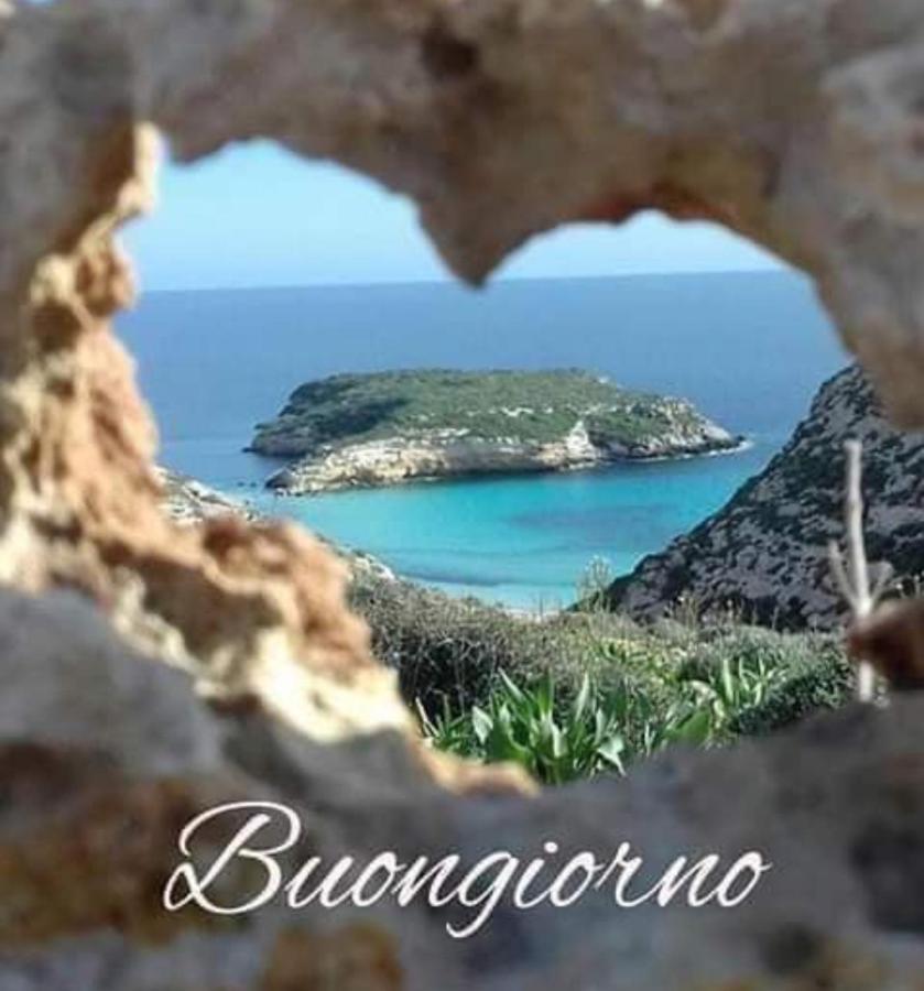 Residence Sognu Di Mare - Plage Linguizzetta Buitenkant foto
