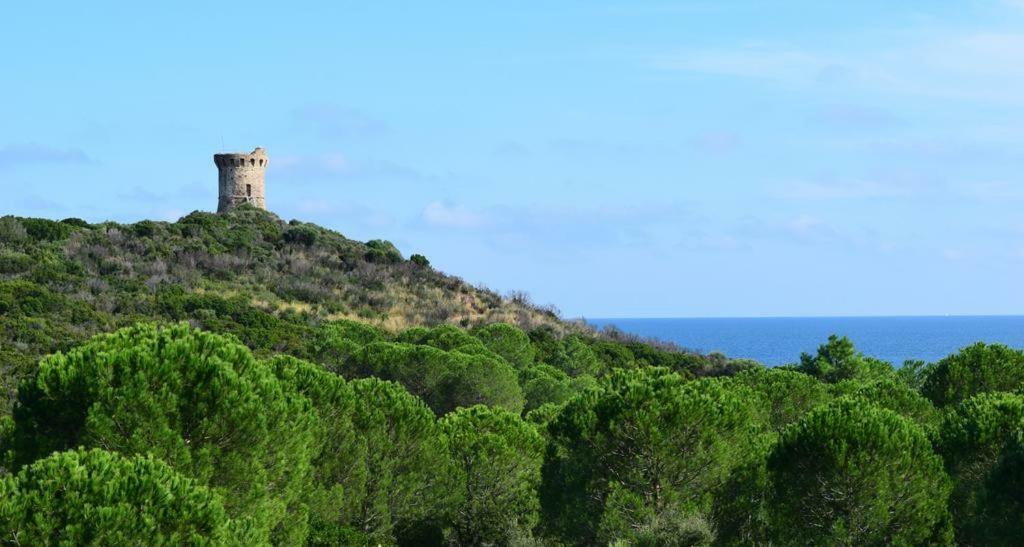 Residence Sognu Di Mare - Plage Linguizzetta Buitenkant foto