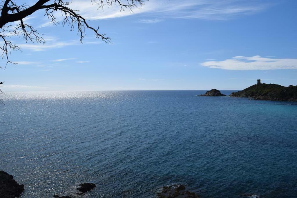 Residence Sognu Di Mare - Plage Linguizzetta Buitenkant foto